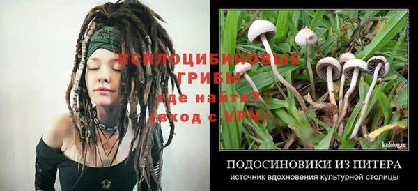 альфа пвп Инсар